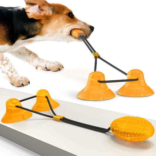 Suction Cup dog chew toy
