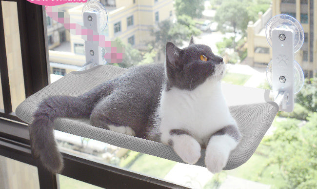 Window cat hammock with suction cups